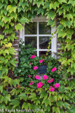 Pretty window in Calvados region