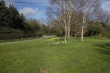 DSCF2582.jpg