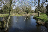 DSCF2594.jpg