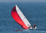 Sailing Santa Cruz_1.jpg