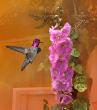Hummingbird and Flower.jpg