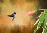 Hammerbird and Flower_a.jpg