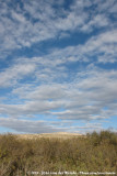 Moroccan Clouds