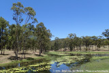 Eungella Dam