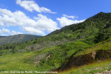 Finch Hatton Valley