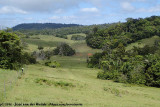 Scenery around the Dalrymple Road