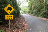 Cassowary county