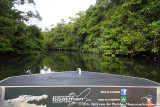 Boat tour over the Daintree River