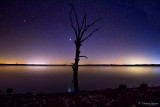 Lone Tree at Truman Lake_Tommy Brison.jpg
