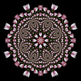 Evolved kaleidoscope created from the logarithmic spiral