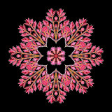 Kaleidoscopic creation done with a small red wild flower seen in a mountain valley