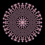 Another way to create an evolved kaleidoscope