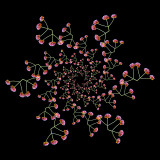 Logarithmic spiral kaleidoscope with 120 times the same tripple flower