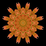 Kaleidoscopic picture created with an autumn leaf seen 13th October