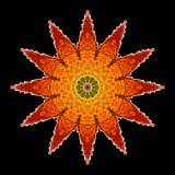 Kaleidoscopic picture created with a colorful autumn leaf seen 13th October