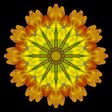 Kaleidoscope created with an oak leaf