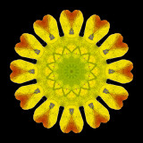 Kaleidoscope created with an oak leaf