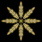 Kaleidoscope created from a dry grass seen in October