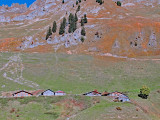 An alpine settlement of houses for the summer. Here are many cows grazing during the summer months