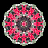 Kaleidoscope created with red autumn leaves