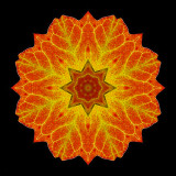 Kaleidoscope created with an ivy leaf
