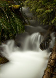 Don Brown <br> Creek Waterfall