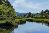 Lois DeEll<br>2017 Sep London Drugs <br>Chemainus River Tidal Flats