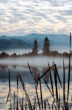 Chris Sadler<br>Dugan Lake Fog