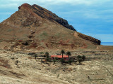 Sc2833.jpg