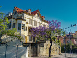 Sc3152.jpg