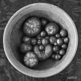 Tomatoes-on-the-table