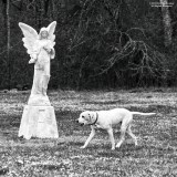 Zoey-and-the-Angel-Lake-MS