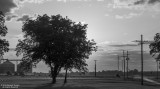 Heathman-Plantation-Sunset