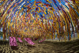 MD_D8062493r_Chaises aux Jardins de Metis.jpg