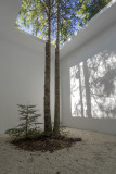 MD_D8062536r_Lappel de la lumiere.jpg