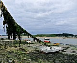 Seaweed Boat Padstow.jpg