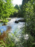 River Dart summer 2005.jpg