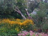 Lost Gardens of Heligan.jpg