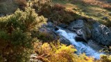 Autumn Rapids near Meldon Quarry