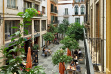 Sevilla Courtyard