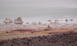 Salt Formations on Mono Lake, CA