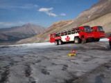 The buses on the Athabasca Glacier