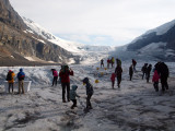 On the Athabasca Glacier