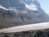 The buses going down to the Athabasca glacier