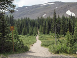 Trail to Parker Ridge