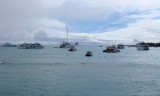 Boats in the bay outside Puerto Ayora