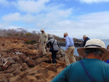 Finding the trail on North Seymour Island in the Galapagos