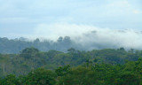 Mist rises over the Amazon jungle