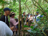 Xavier, our guide, talking to us in the Amazon rain forest