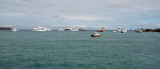 Boats in the bay at Puerto Ayora, Galapagos Islands